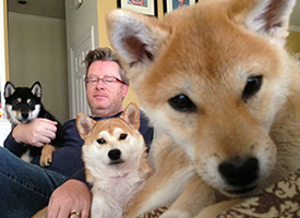 Our Shibas