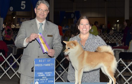 Beni wins Best of Breed