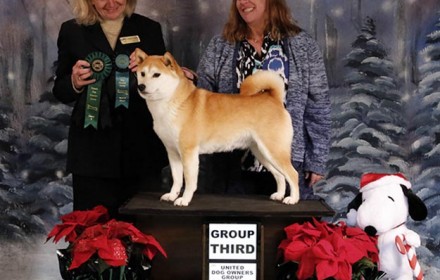 Yuri wins Best of Breed