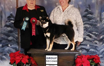 Akuto wins Best of Breed