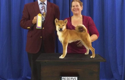 Ryu wins Reserve Best in Show