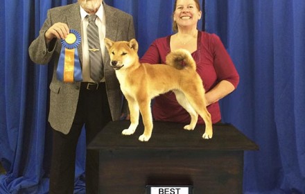 Ryu wins Best in Show