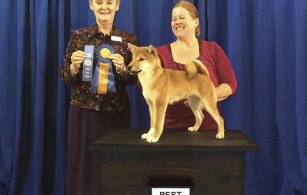 Ryu wins Best in Show