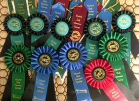 Awards