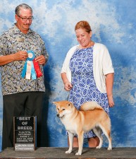 Beni wins Best of Breed