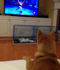 Loves Watching Dancers