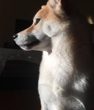 Beautiful Beni