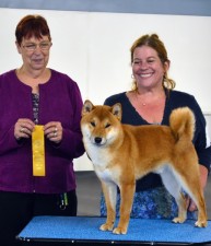 Yoshi wins Best of Breed