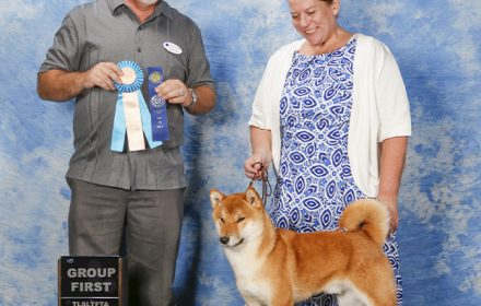 Yoshi wins Best of Breed and Group 1